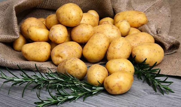 На Львовщине впервые будут выращивать французский картофель