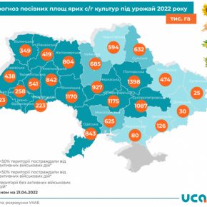 Посевная-2022: названы культуры, которые испытывают наибольшее сокращение площадей