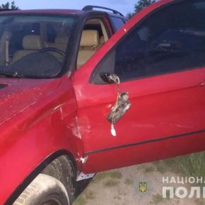 В Тернопольской области водитель на BMW Х5 въехал в скутер Honda: травмировалась женщина