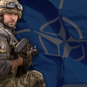 Украина может вступить в НАТО без Плана действий, как Финляндия и Швеция – США