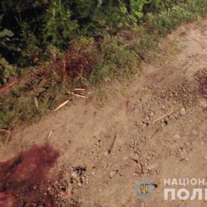 На Чертковщине женщина на глазах у ребенка палкой забила пьяного бывшего мужчину