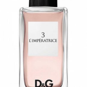 Основные ноты и назначение духов Dolce Gabbana The One
