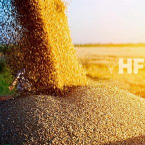 Сезон продажи выгрузчиков зерна HF Agro открыт
