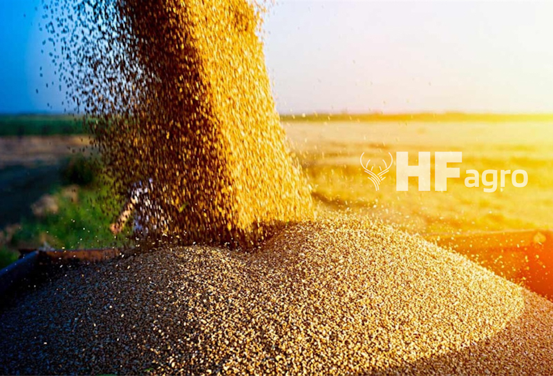 Сезон продажи выгрузчиков зерна HF Agro открыт
