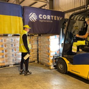 Corteva Agriscience увеличила экспорт семян кукурузы из Украины в ЕС