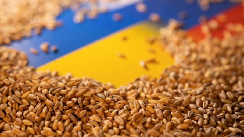 Индекс цен ФАО на зерновые снизился за месяц более чем на 11%