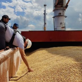 Ливанский покупатель отказался от украинской кукурузы с первого судна