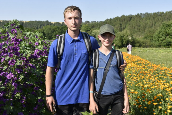 На Козовщине два братья засадили полгорода цветами