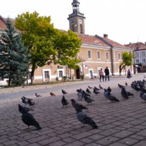 В Бережанах отметят День молодежи