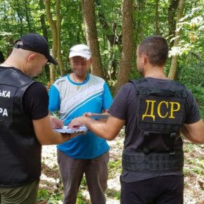 В Тернопольской области будут судить лесника за растрату госимущества