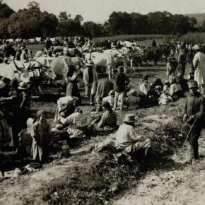 Село Подвысокое на фото 1900-1910-х годов