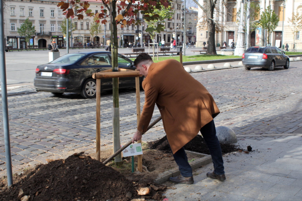 Тернопольская компания Ополья присоединилась к высадке деревьев на проспекте Свободы во Львове