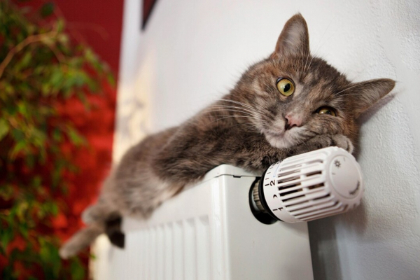 В общине в Тернопольской области с 1 ноября начинают отопительный сезон