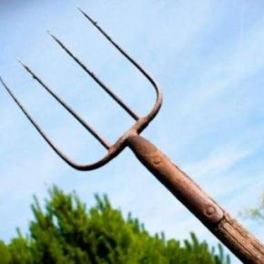 Виллами в шею: в Тернопольской области разборки за границу завершились больницей и криминалом