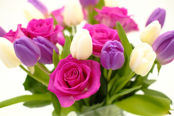 Самые красивые фиолетовые цветы для вашего букета