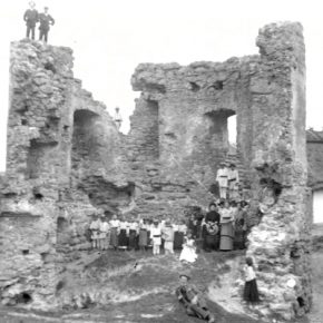 Новоселковский замок на столетних фото