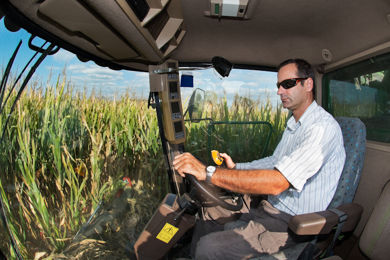Кукуруза и точное земледелие