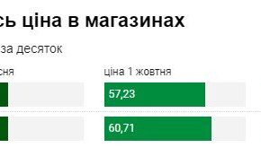 Цены на яйца: чего ожидать в 2023 году
