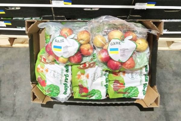 ФГ «Гадз» из Тернопольщины расширяет яблочный экспорт в Великобританию