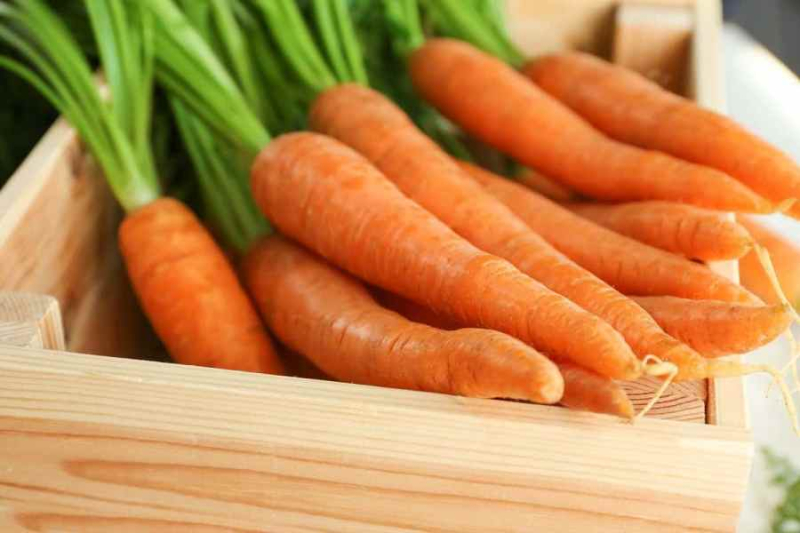 В Украине рекордно дорожает морковь