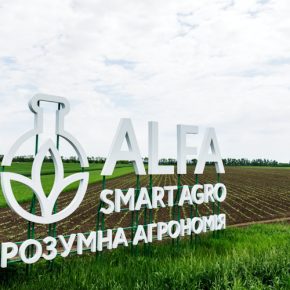 ALFA Аванс 2023: получите СЗР ALFA Smart Agro на сезон, реализовав урожай с премией до 10%