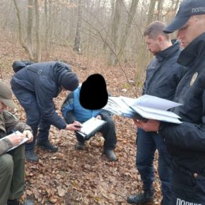 Муниципальная полиция задержала любителей березового сока