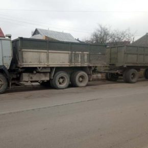 В Тернопольской области мужчины незаконно вывозили древесину на несколько сотен тысяч гривен