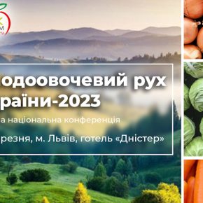 Овощи борщового набора в фокусе «Плодоовощное движение Украины-2023»