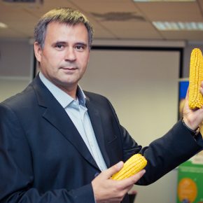 Пять причин, почему не стоит отказываться от кукурузы