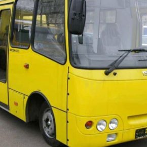 В Тернополе в маршрутке травмировалась пассажирка: что произошло