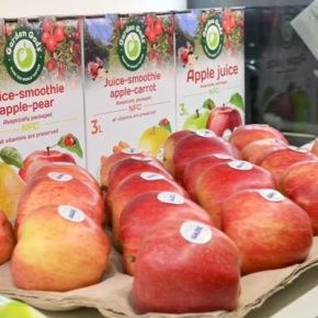 Фермерское хозяйство "ГАДЗ" представило свою продукцию на международной выставке в Берлине