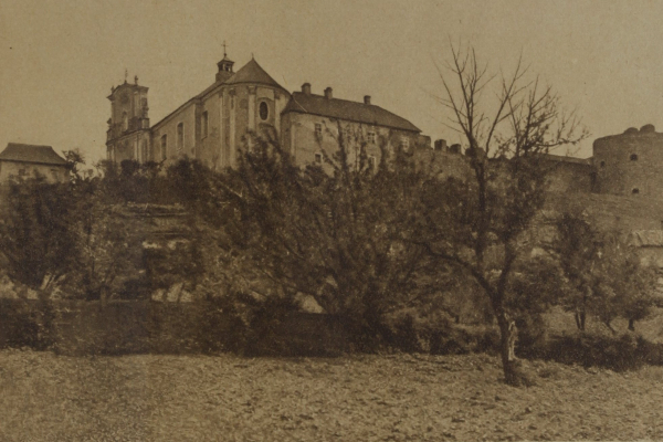 Замки и дворцы Тернопольщины на столетних фото