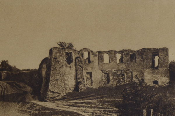 Замок в Подзамочку на фото начала ХХ века