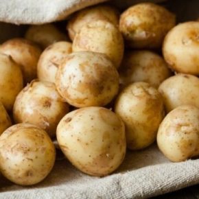 Цены на молодой картофель побили рекорд