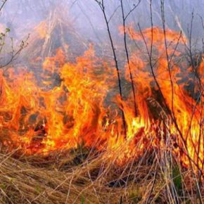 Пожар сухой травы дважды в сутки тушили спасатели в Тернопольской области