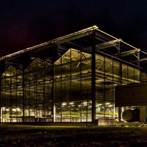 Компания DSV ввела в эксплуатацию одну из новых теплиц в Германии