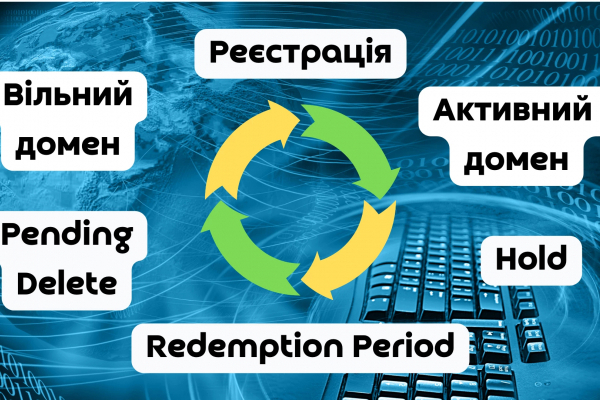  Жизненный цикл домена: что это такое и почему его нужно знать