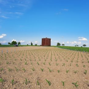 Corteva Agriscience расширила программу полевых исследований