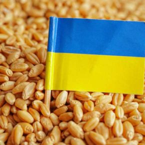 Для поставок зерна Украина устанавливает временный судоходный маршрут