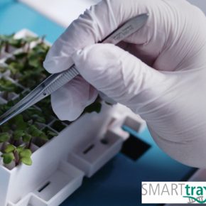 DSV стали совладельцами стартап-компании SMARTtray® GmbH