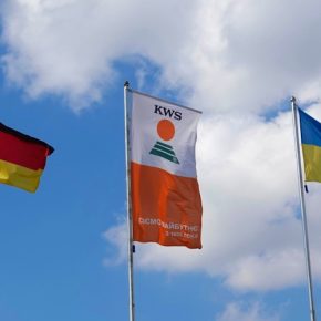 KWS корректирует свою позицию по интеллектуальной собственности согласно принципу «Выбор селекционера»