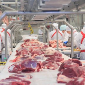 Развитие экспорта может помочь украинским мясоперерабатывающим предприятиям в период войны, – Игорь Ляховский