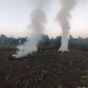 В селах под Тернополем штрафуют поджигателей мусора