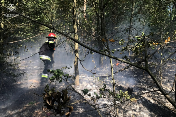 В Барсуковской ОТГ во время лесного пожара погибла женщина