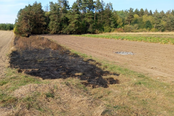 Погибшая женщина: курение мусора на огороде привело к трагедии на Лановеччине