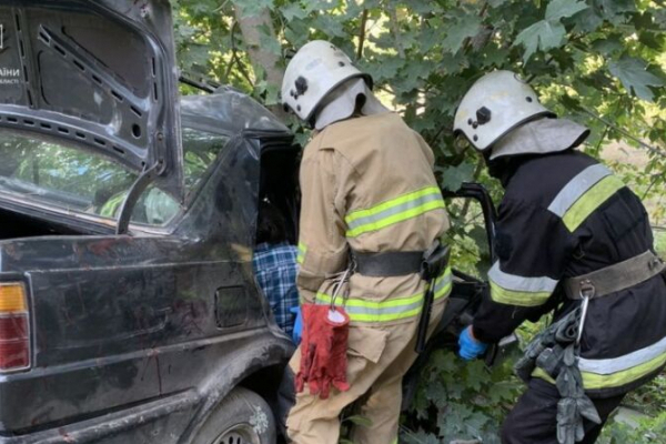 На Лановеччине авто врезалось в дерево: женщину толкнуло в автомобиле