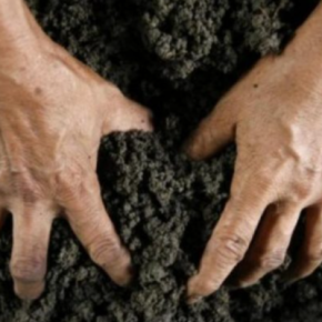 На Тернопольщине отсудили более гектара земли, принадлежавшей россиянину