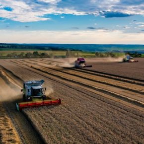 В Тернопольской области завершили сеять озимые зерновые культуры