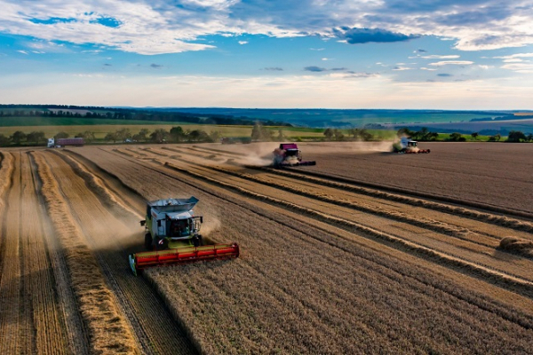 На Тернопольщине завершили сеять озимые зерновые культуры