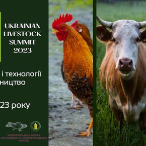Объявлена ​​полная программа Украинского животноводческого саммита 13 октября